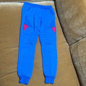 Aviator Nation Navy Blue Sweatpants Sz10